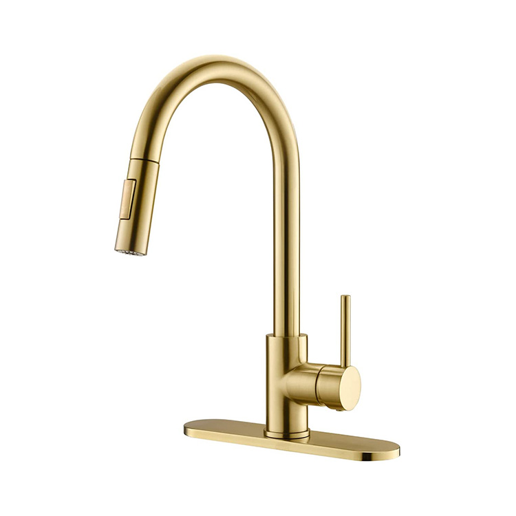 Brushed Gold Kitchen Mixer